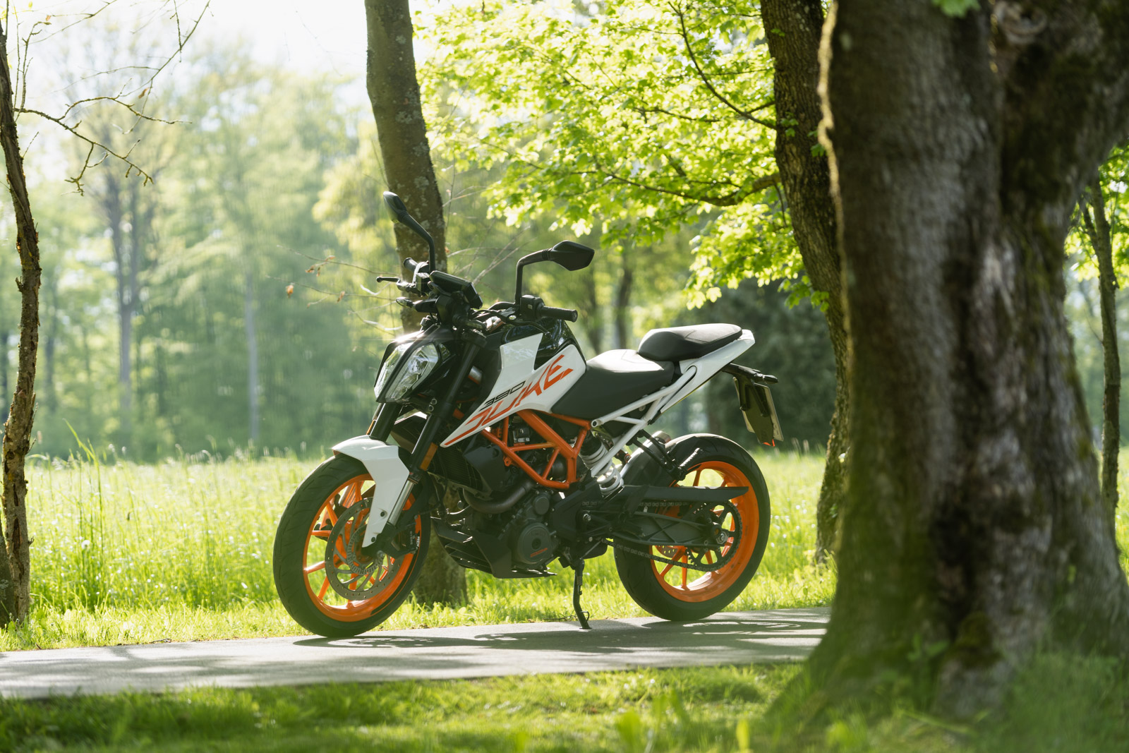 KTM Duke 390 in verträumter Lichtstimmung