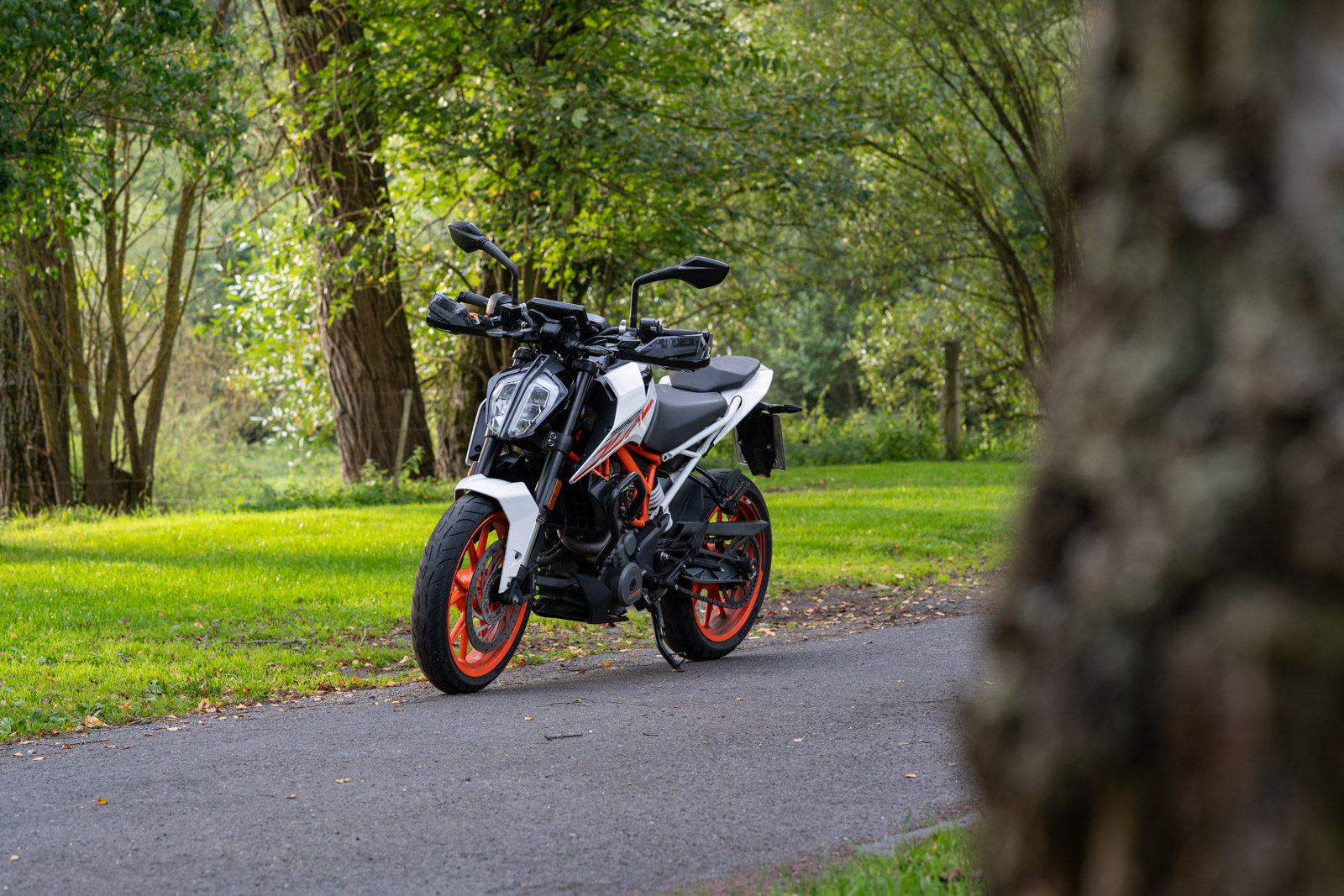 KTM Duke 390 im Wald