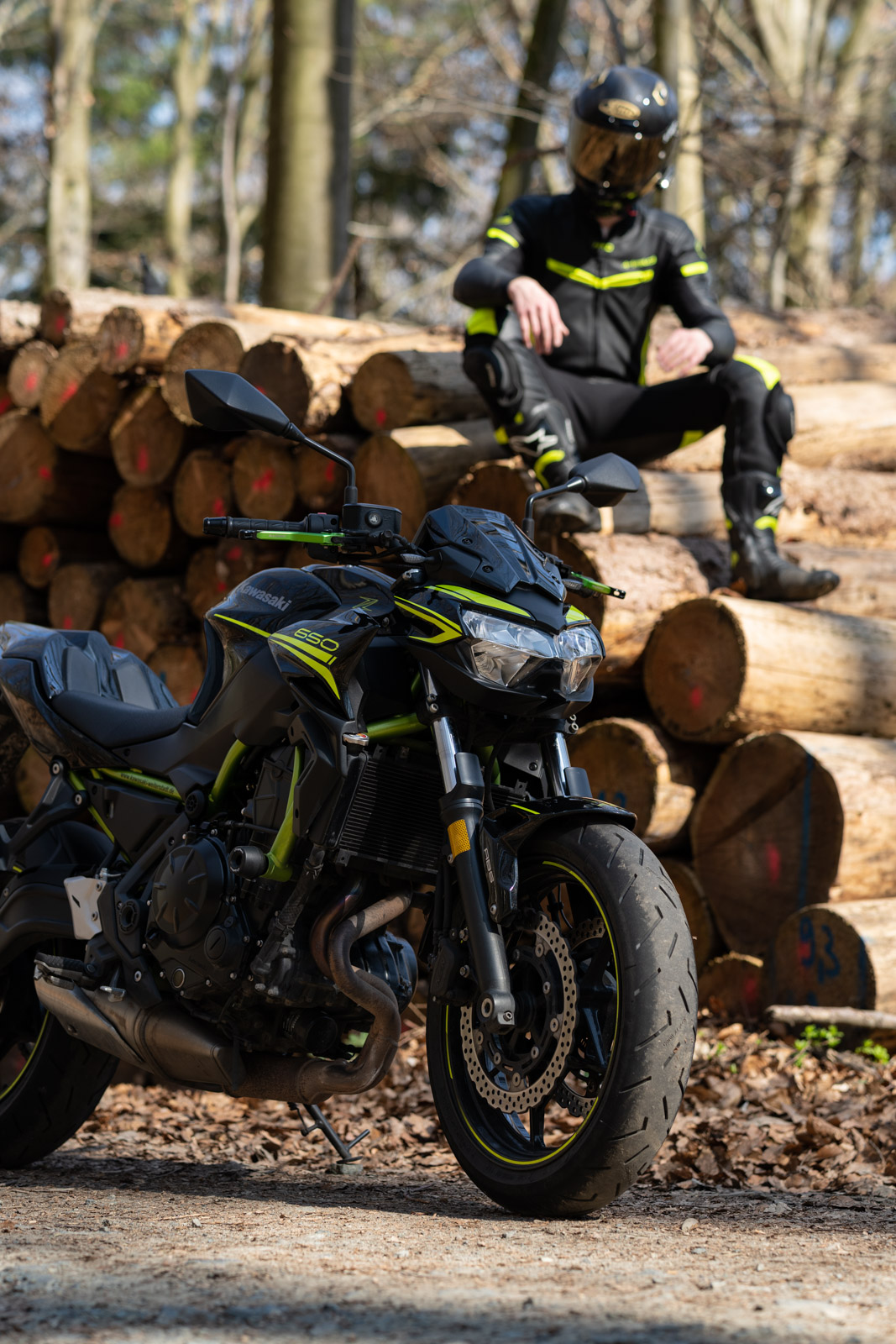 Kawasaki Z650 neben gestapelten Baumstämmen
