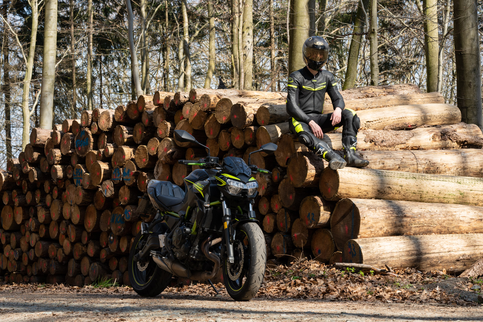 Kawasaki Z650 vor Baumstämmen im Wald