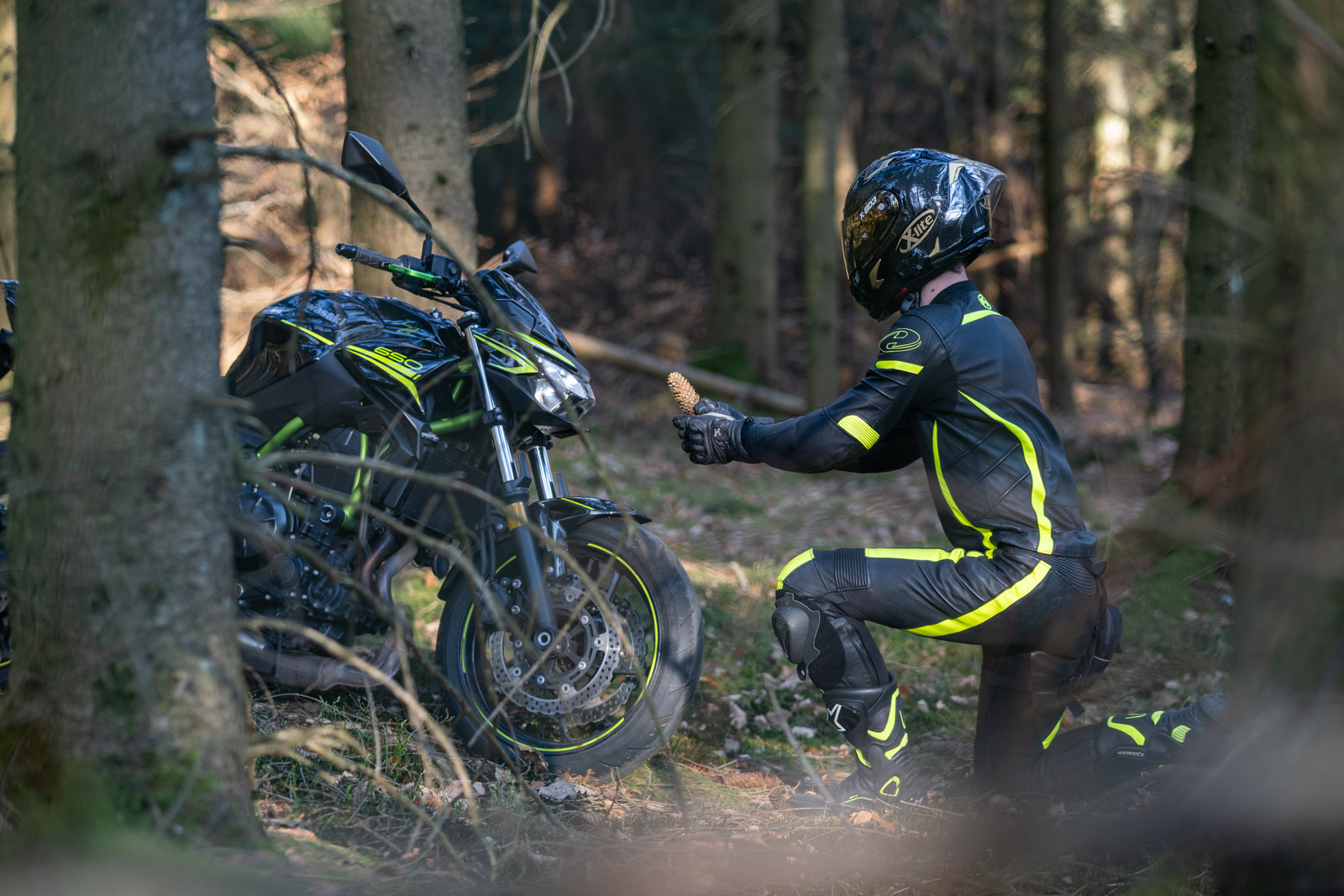Motorrad im Wald bei stimmungsvollem Licht