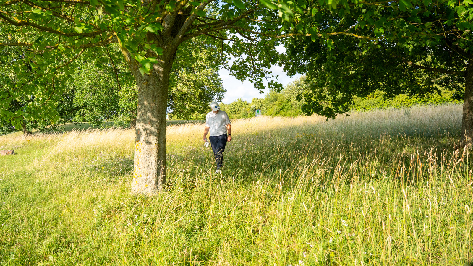 Golfer bei der Ballsuche im Rough