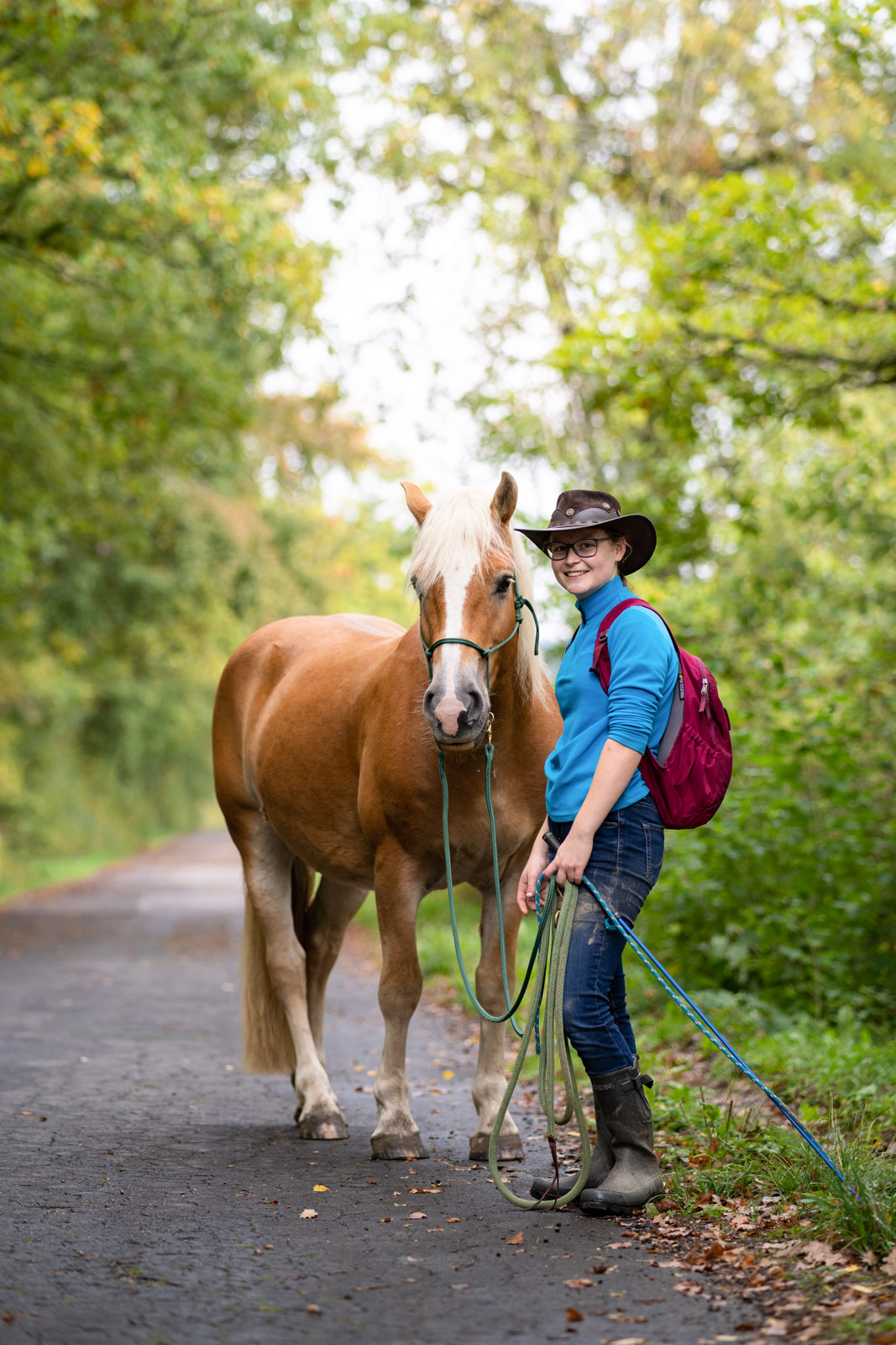 Pferd mit Person im Wald